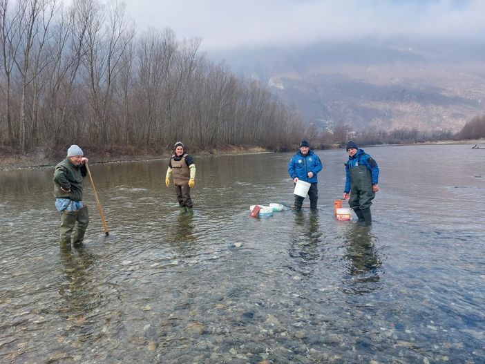 Foto da Facebook Sezione Provinciale Pescatori del V.C.O. fipsas Foto da Facebook Sezione Provinciale Pescatori del V.C.O. fipsas