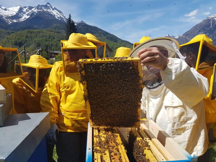 Nasce l’“Apiario Sociale” delle Vallate Ossolane: un progetto di apicoltura condivisa