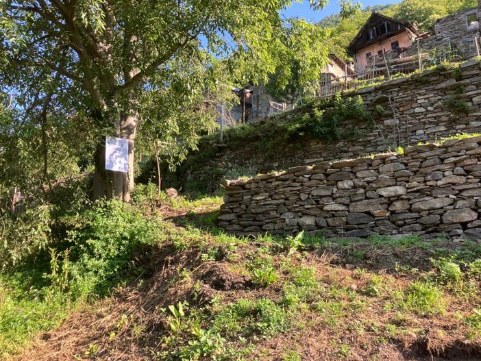 Terrazzamenti dell'Ossola: un patrimonio Unesco recuperato e valorizzato Terrazzamenti dell'Ossola: un patrimonio Unesco recuperato e valorizzato