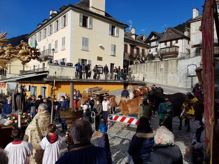Toceno festeggia Sant’Antonio Abate Toceno festeggia Sant’Antonio Abate