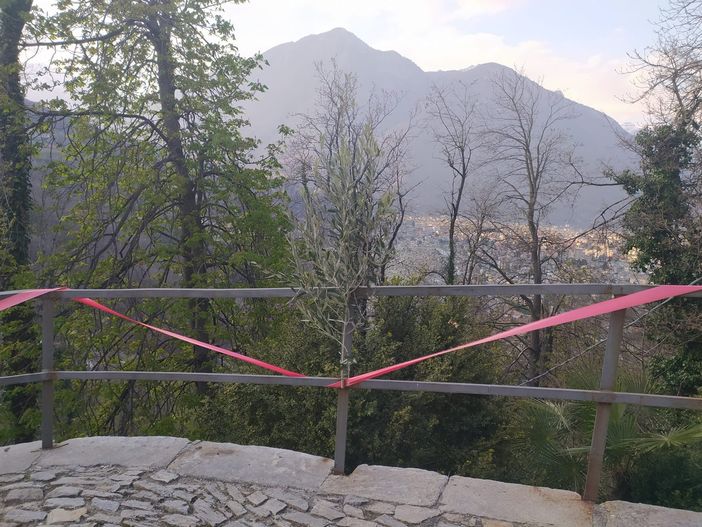 Ecco gli orari delle messe della domenica delle Palme