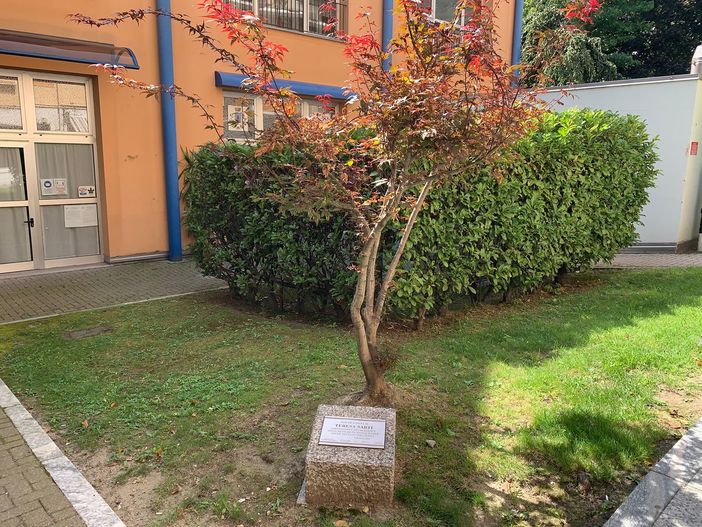Quando Gino Strada doveva diventare cittadino onorario di Villadossola