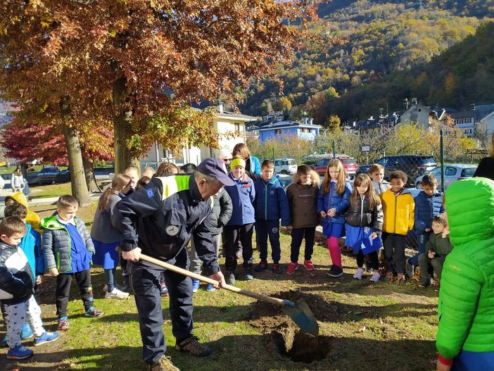 Giornata dell'albero, cerimonia alle elementari di Beura per sensibilizzare le nuove generazioni FOTO e VIDEO Giornata dell'albero, cerimonia alle elementari di Beura per sensibilizzare le nuove generazioni FOTO e VIDEO