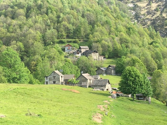 Musica in Quota: annullato per maltempo il concerto di domani all'Alpe Alpino Musica in Quota: annullato per maltempo il concerto di domani all'Alpe Alpino