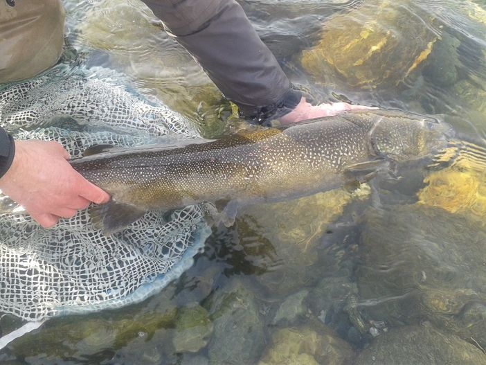 Apre la pesca in Val Grande
