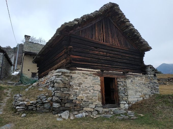Aspettando LetterAltura, un'escursione all'Alpe Fraccia alla scoperta del patrimonio botanico Aspettando LetterAltura, un'escursione all'Alpe Fraccia alla scoperta del patrimonio botanico