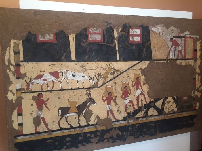 Visita guidata alla mostra "Liberi di imparare" Visita guidata alla mostra "Liberi di imparare" 