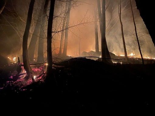 Incendi boschivi, la Regione Piemonte approva le linee guida per i piani di prevenzione territoriali