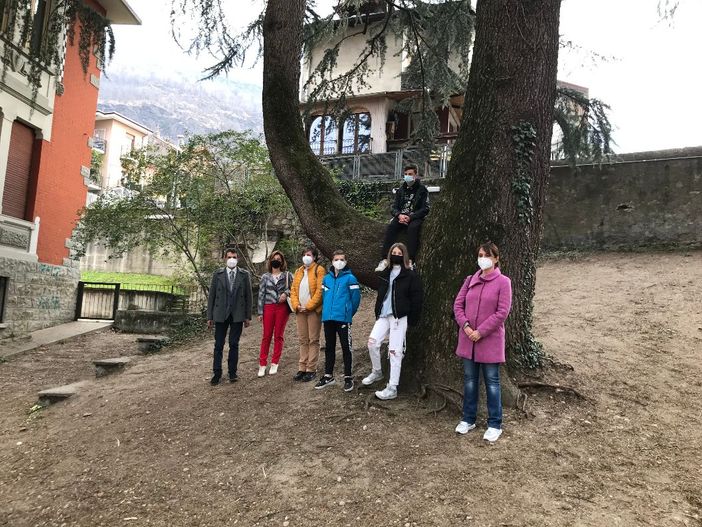 Scrittori in erba, il tema scelto per la quarta edizione è il “Verde Vivente”