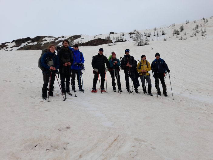 Conteggio annuale della pernice bianca all'alpe Devero: dati incoraggianti Conteggio annuale della pernice bianca all'alpe Devero: dati incoraggianti