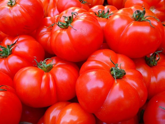 Dalla Regione un milione di euro per distribuire cibo ai più bisognosi