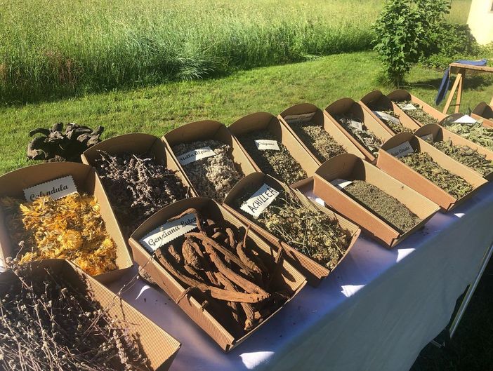 Nuovo logo e una nuova tisana per il Consorzio Erba Böna