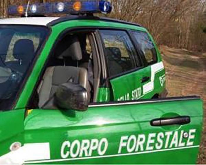 Continuano i controlli dei Carabinieri forestali, elevate sanzioni in Val Grande