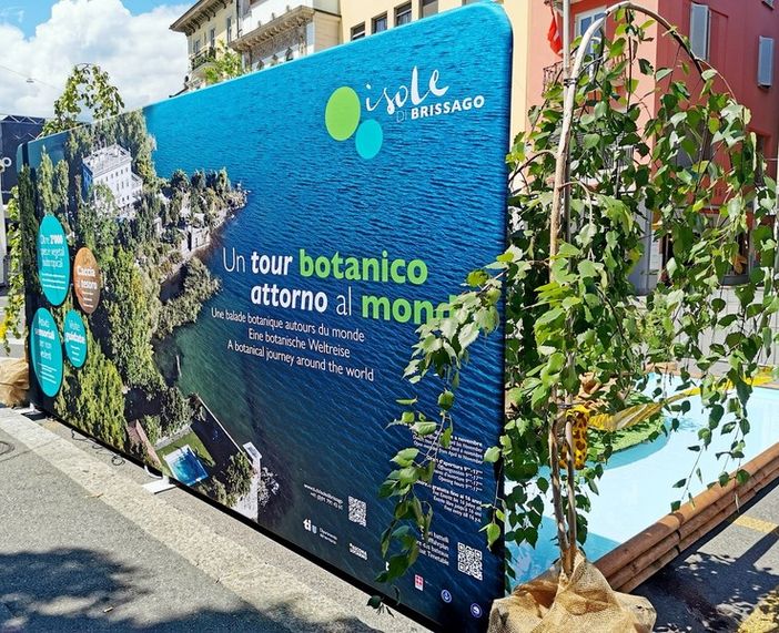 Le Isole di Brissago fanno bella mostra di sé nel cuore del Locarno Film Festival