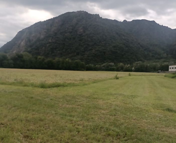 Morandi: "Sì all'ospedale unico, ma si evitino scontri tra territori per scegliere la sede" Morandi: "Sì all'ospedale unico, ma si evitino scontri tra territori per scegliere la sede"