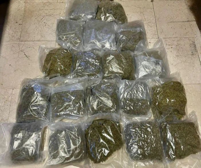 Arrestati a Bologna due trafficanti di droga con 20 kg di marijuana Arrestati a Bologna due trafficanti di droga con 20 kg di marijuana