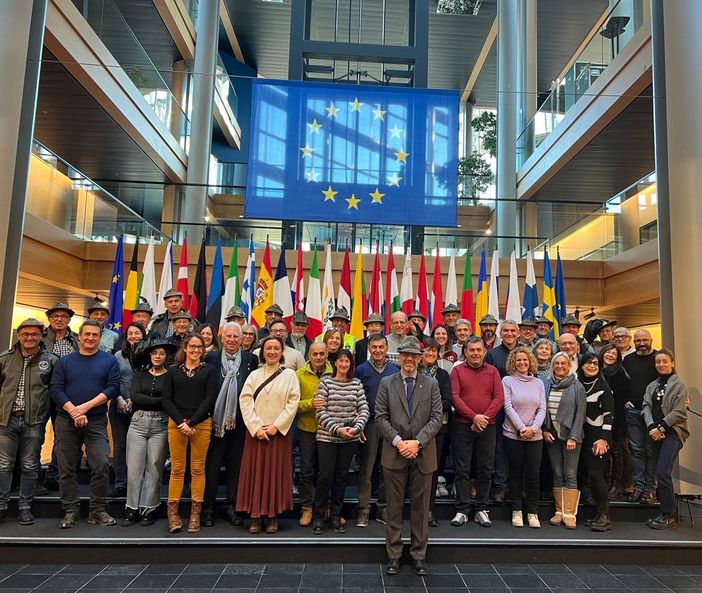 Una delegazione di alpini, bersaglieri e associazioni del Vco in visita al Parlamento Europeo