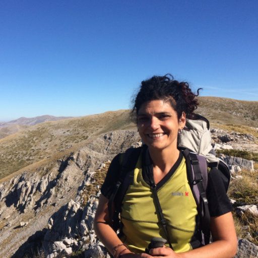 Convivere coi lupi: il VCO partecipa al progetto che coinvolge quattro nazioni