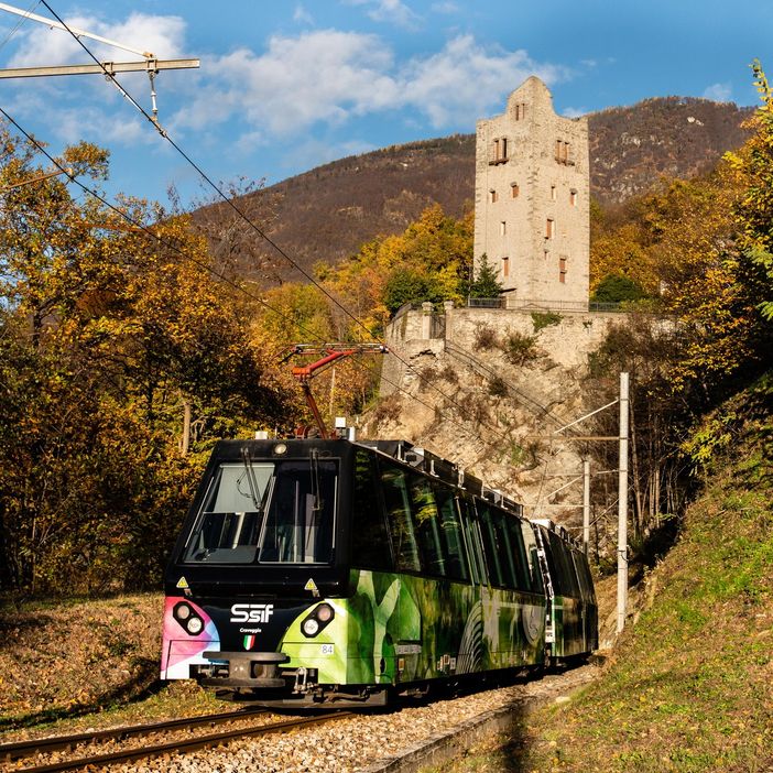 Due anni di celebrazioni per i primi 100 anni della Vigezzina-Centovalli. FOTO e VIDEO Due anni di celebrazioni per i primi 100 anni della Vigezzina-Centovalli. FOTO e VIDEO