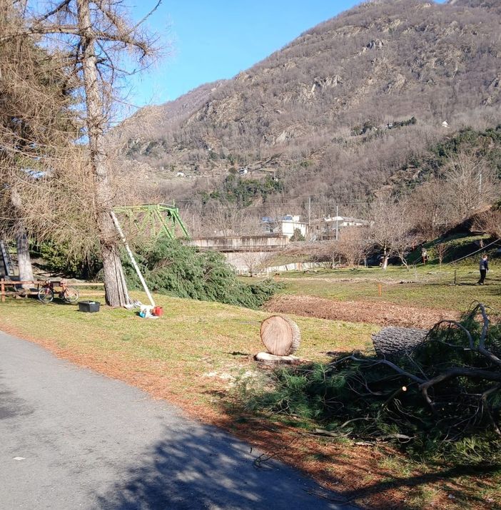 Vogogna, tagliate alcune piante pericolanti