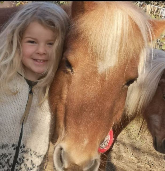 Dopo l'alluvione sono ripartite le attività del Ranch Acero Rosso