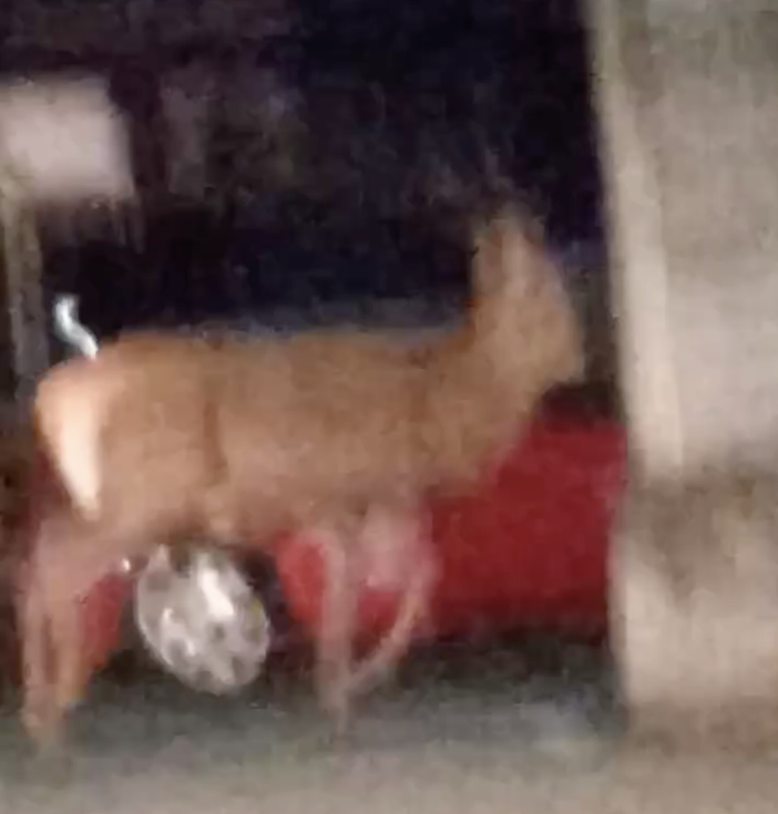 Video di Maurizio Vittoni Video di Maurizio Vittoni