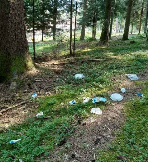 Santa Maria Maggiore, turista segnala sporcizia lungo i sentieri FOTO