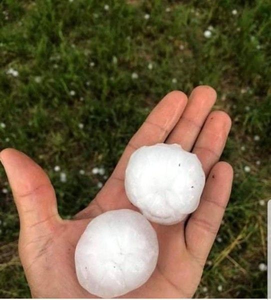 Maltempo, Coldiretti Piemonte: &quot;Bollettino di guerra per forti grandinate, piogge e vento&quot;