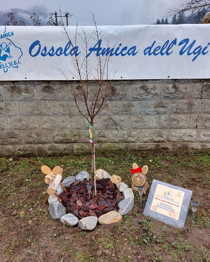 L’Ossola Amica dell’Ugi ha celebrato la giornata mondiale contro il cancro a Masera