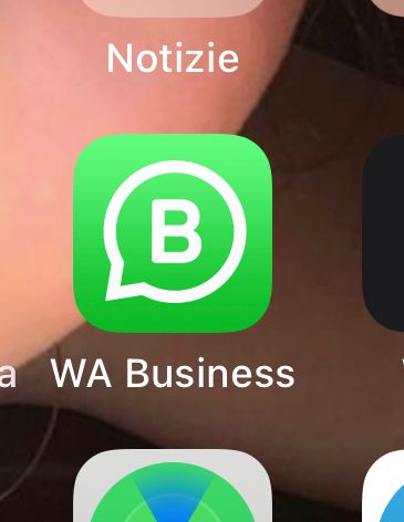 WhatsApp down in Italia, l'app non funziona: non si possono inviare e ricevere messaggi