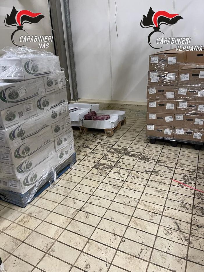In un salumificio industriale del Vco scoperti 9000 chili di carne mal conservata e scaduta da 5 anni i In un salumificio industriale del Vco scoperti 9000 chili di carne mal conservata e scaduta da 5 anni i