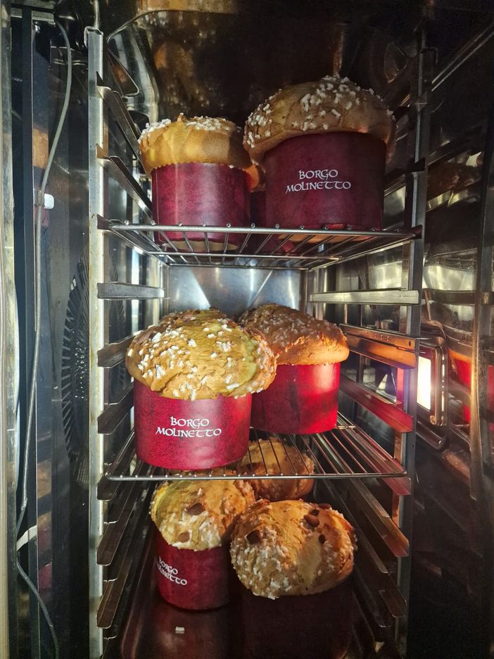 Per Natale regala un panettone o un pandoro artigianale di Borgo Molinetto Per Natale regala un panettone o un pandoro artigianale di Borgo Molinetto