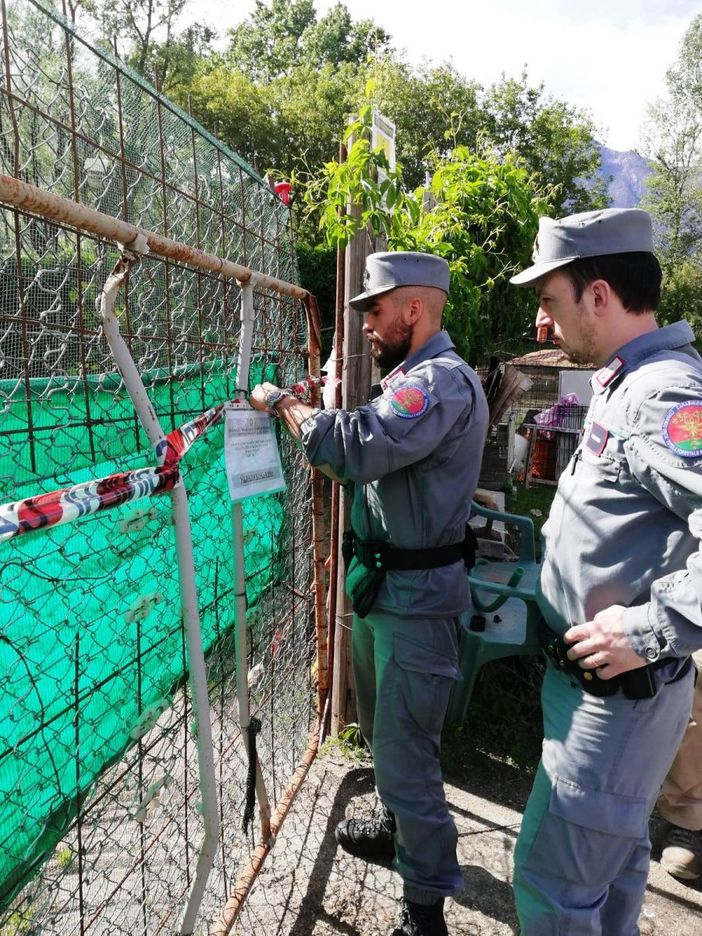 Si appropria di un terreno Demaniale realizzandoci costruzioni abusive, Carabinieri Forestali denunciano 60enne domese Si appropria di un terreno Demaniale realizzandoci costruzioni abusive, Carabinieri Forestali denunciano 60enne domese