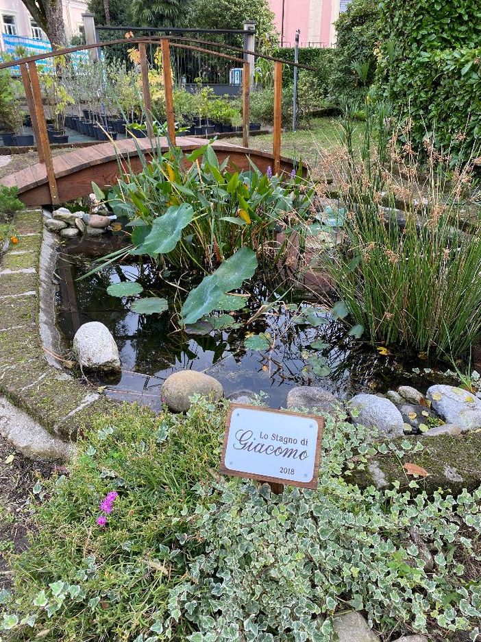 Vco Formazione, consegnata la borsa di studio in memoria di Giacomo Bellora