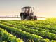 Osservatorio Enpaia-Censis del mondo agricolo, 70% italiani favorevole a lavorare oltre età pensionamento