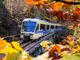 Tutte le sfumature dell’autunno nel Distretto dei Laghi: tra foliage, trekking, sapori ed eventi
