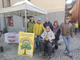 Alberi per la Giornata Nazionale: il M5S Vco dona nuove piante a Verbania, Omegna e Domodossola Alberi per la Giornata Nazionale: il M5S Vco dona nuove piante a Verbania, Omegna e Domodossola