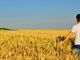 Un bando della Regione a sostegno dei giovani agricoltori piemontesi