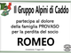 Partecipazione