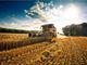 Proseguono i pagamenti della Regione alle aziende agricole