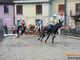 Tutto pronto per la 70esima edizione del Palio degli Asini