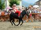 Premosello, cresce l'attesa per il tradizionale Palio degli Asini