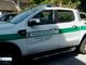 Cervi sulle strade del Vco, cresce il rischio di incidenti