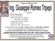 Ing. Giuseppe Romeo Tripepi83 anni