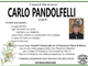 Carlo Pandolfelli di anni 90