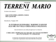 Terreni Mario di anni 84 Terreni Mario di anni 84
