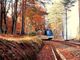 La magia dell'autunno tra Ossola e Svizzera: riparte il Treno del Foliage La magia dell'autunno tra Ossola e Svizzera: riparte il Treno del Foliage