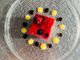 Cheesecake a freddo con frutti di bosco