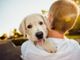 Pet Therapy, primo confronto tra le Regione e le associazioni