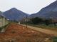 Tagliati gli alberi lungo la ciclabile al Villaggio